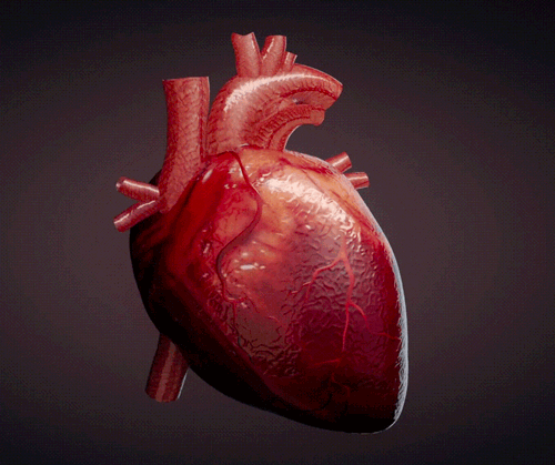 What Is Heart Failure